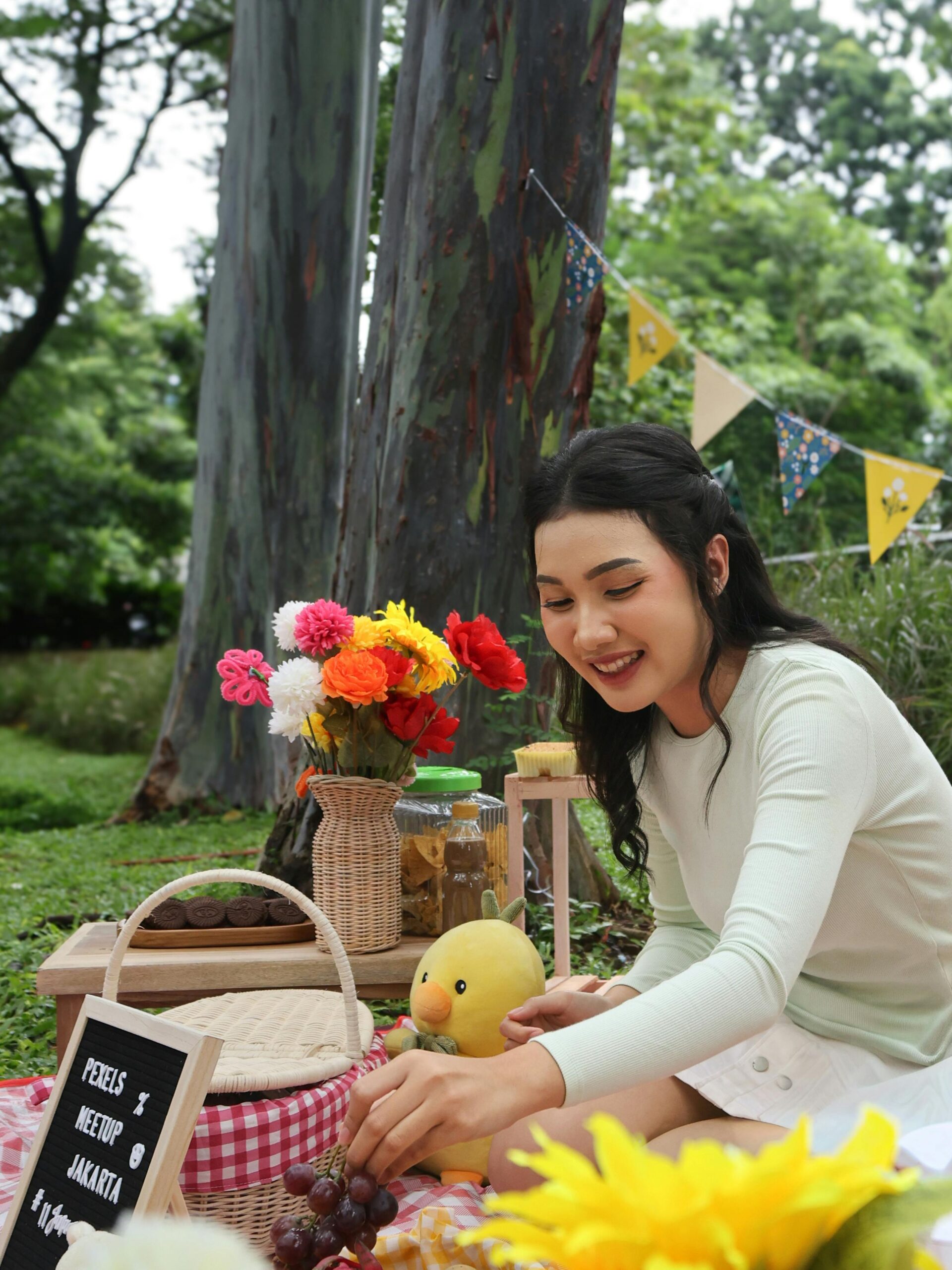 picnic